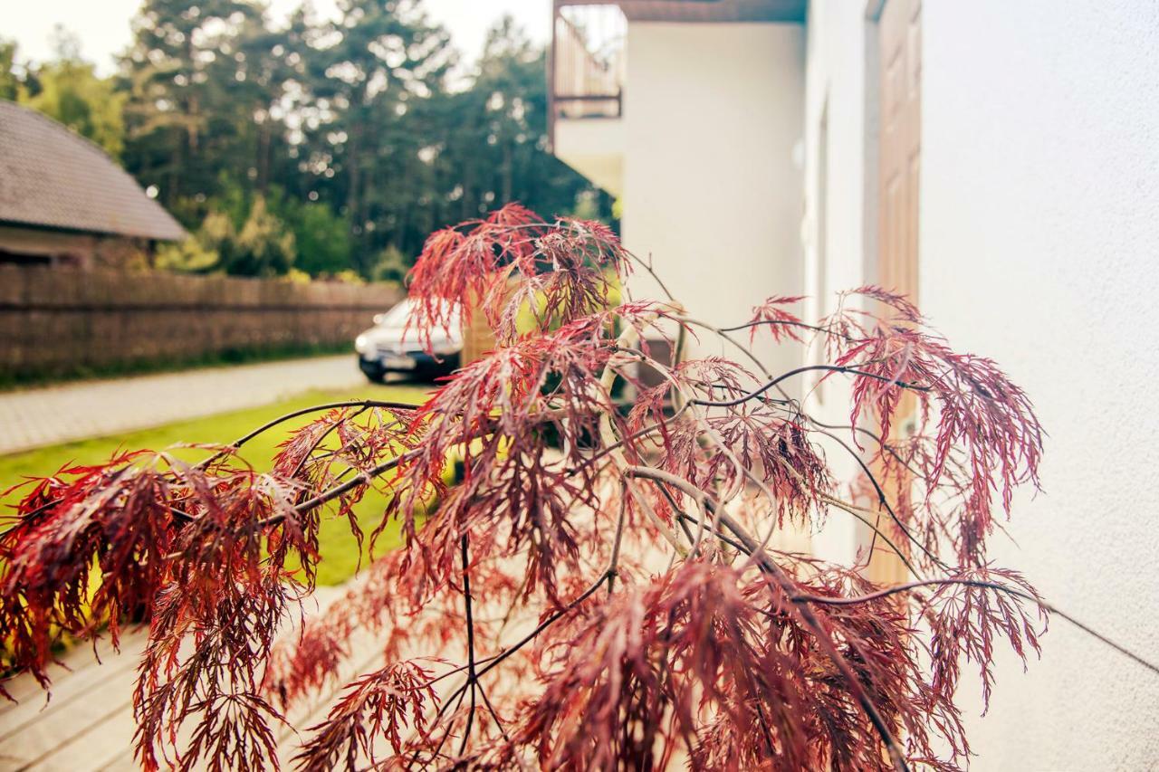 Urlop Przy Wydmach Międzywodzie Exterior foto